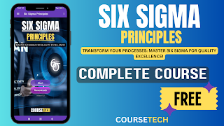 Six Sigma Principles постер