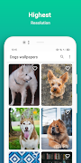 Dog wallpaper screenshot 2