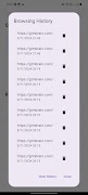 3 Schermata DevFlex - Browser