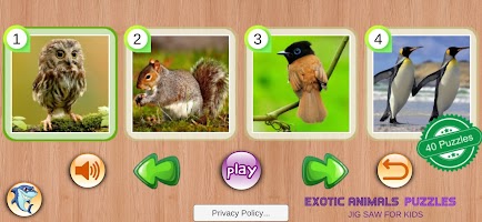 Exotic Animals Puzzles Toddler poster