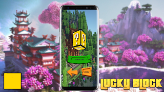 Mod Random Block Skin MCPE poster