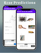 Kcse prediction: Pangani Girls Plakat