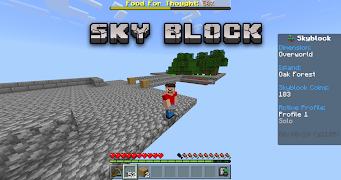 Servers for Minecraft BE โปสเตอร์