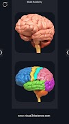 Brain Anatomy Pro. पोस्टर