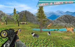 Rabbit Hunting Challenge پوسٹر