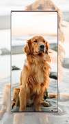 狗壁纸 截图 4