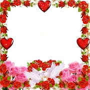 Flower Insta DP , Flower Frames Profile Pic 截图 5