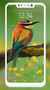 Bird Wallpaper screenshot 7