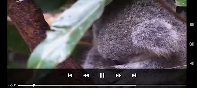 TQ Player 스크린샷 3