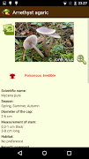 MushtoolPro - Mushroom screenshot 5