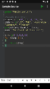 R Programming Compiler โปสเตอร์