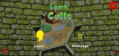 Learn: Cells-poster