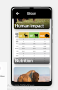 Bison screenshot 5