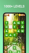 Word Connect - Puzzle 截图 3