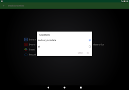 SQLite Explorer captura de pantalla 5