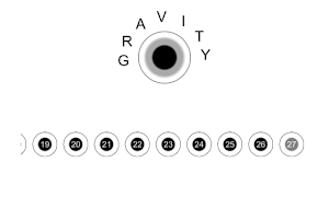 Gravity: playing with orbits پوسٹر