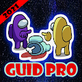 GUIDE PRO AMONG US 21