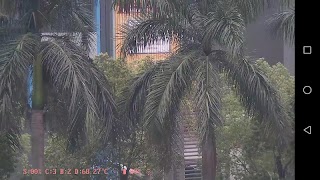 NVPlay পোস্টার