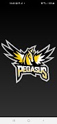 PEGASUS PLUS โปสเตอร์