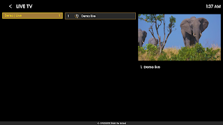 SIMBA PLAYER تصوير الشاشة 6