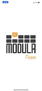 Modula TEAM 海报