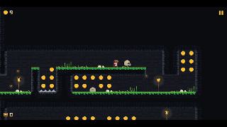 Pixel Adventure スクリーンショット 5