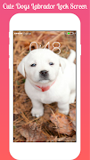 Dogs Labrador Lock screen Dogs Labrador HD AppLock Ekran Görüntüsü 5