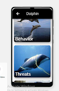 Dolphin اسکرین شاٹ 2