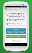 Heartbleed Security Scanner تصوير الشاشة 1