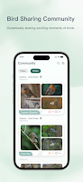 Soliom HD 截图 2