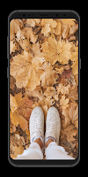 Autumn Wallpaper Screenshot 1