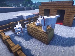 Dog Mod Pets syot layar 4