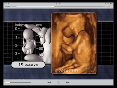 BYD: Live Screenshot 2