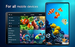 Fish Wallpapers 4K اسکرین شاٹ 5