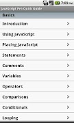 JS Pro Quick Guide پوسٹر