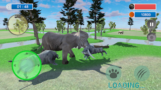Angry Buffalo Attack Simulator poster