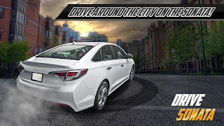 Drive Sonata Simulator screenshot 2