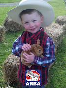 ARBA تصوير الشاشة 6