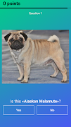 برنامه‌نما Dog Quiz: Guess the Breed — Ga عکس از صفحه