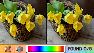 برنامه‌نما Find Difference flower garden عکس از صفحه
