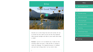 Gratitude Journal Screenshot 2