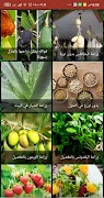أساسيات الزراعة في المنزل (بدون نت ) 截图 3