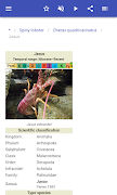Crustaceans syot layar 3