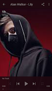 Alan Walker Offline screenshot 4
