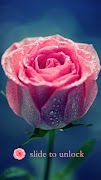 برنامه‌نما AppLock Theme Pink Rose عکس از صفحه