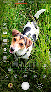 BQ Camera Screenshot 1