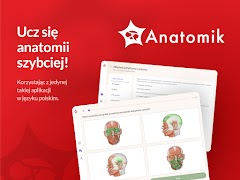 Anatomik скриншот 4