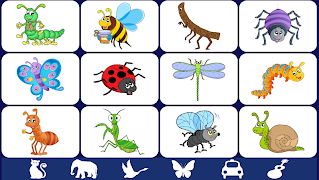 Video Touch - Bugs & Insects poster