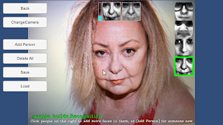 RealTimeFaceRecognitionExample capture d'écran 2