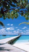 Beach Live Wallpaper 截图 2
